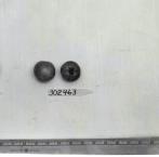 Click for 1 image(s) for this accession. FRUIT